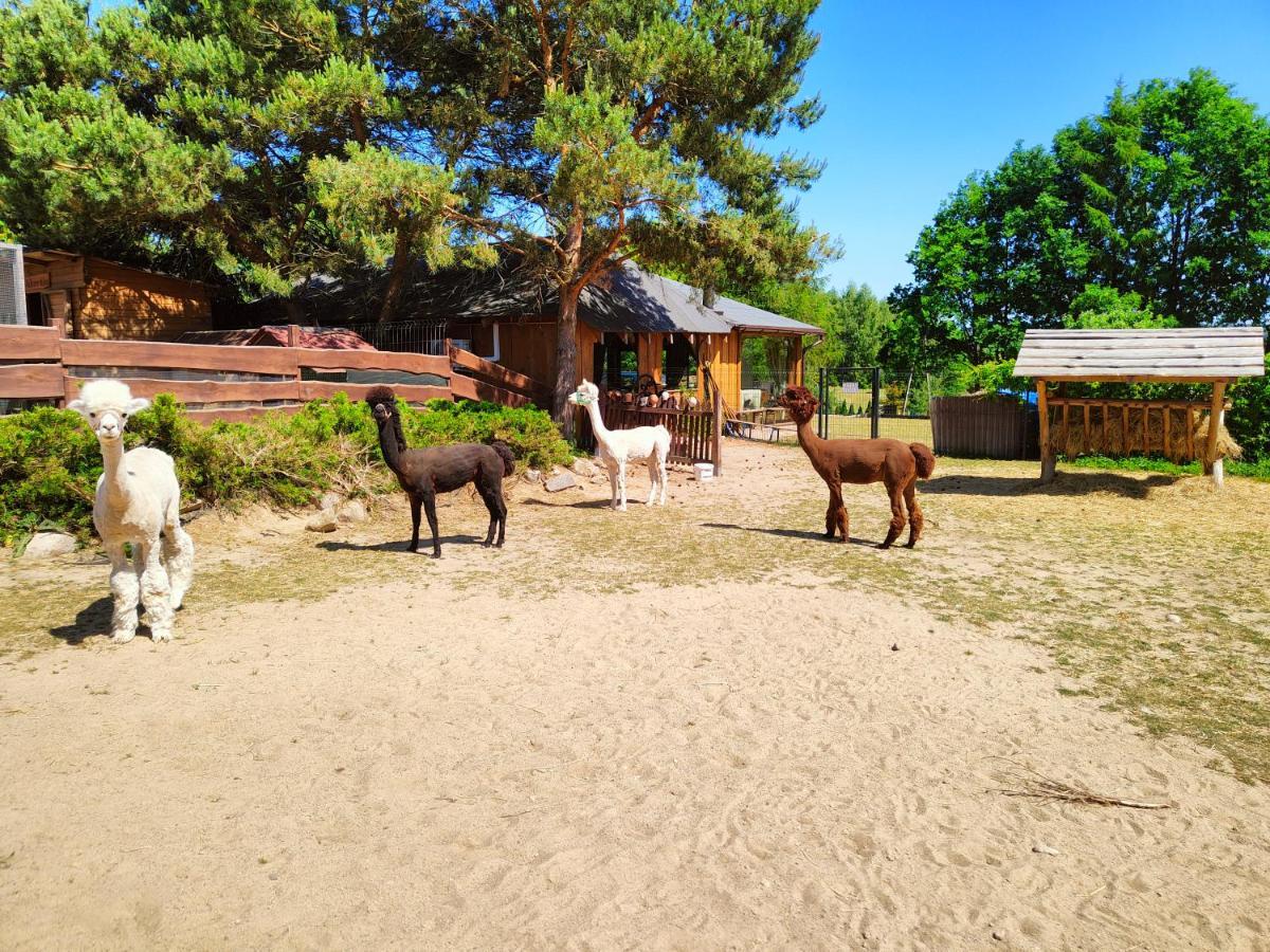 Domek Na Slonecznikowej Хмелно Екстериор снимка