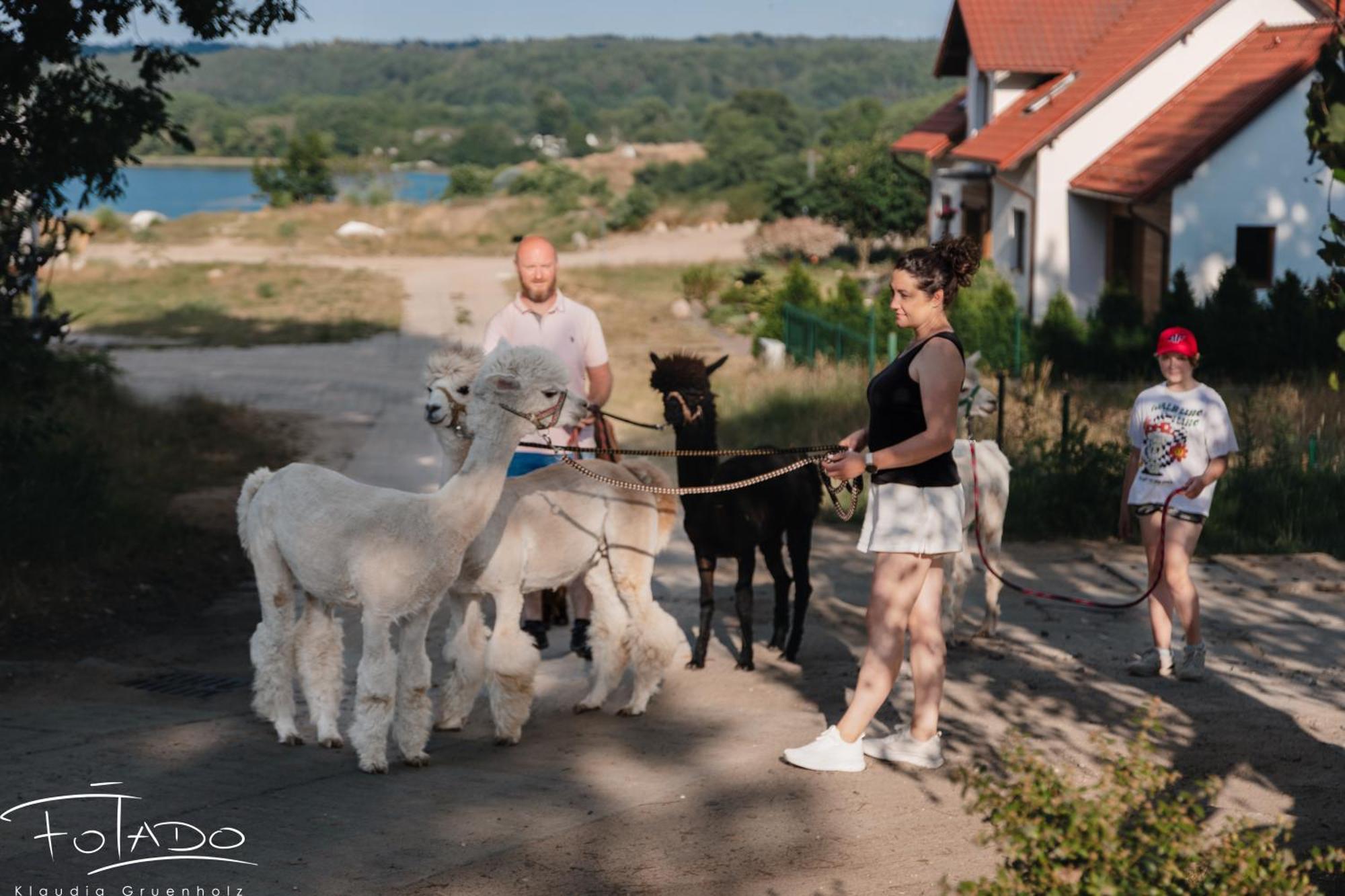 Domek Na Slonecznikowej Хмелно Екстериор снимка
